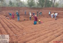 जल संरक्षण से आजीविका तक: छत्तीसगढ़ में ‘आजीविका डबरी’ अभियान बना ग्रामीण बदलाव की धुरी…..