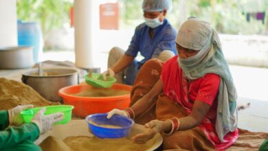 महिला शक्ति और वनोपज का सफल संगम, हरिबोल स्व-सहायता समूह ने रचा आर्थिक सशक्तिकरण का उदाहरण….