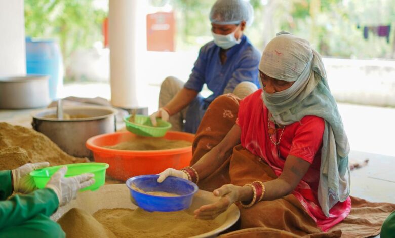 महिला शक्ति और वनोपज का सफल संगम, हरिबोल स्व-सहायता समूह ने रचा आर्थिक सशक्तिकरण का उदाहरण….
