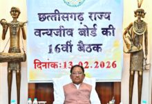 वन्यजीवों के प्राकृतिक आवास की सुरक्षा और सह-अस्तित्व के सिद्धांतों के अनुरूप हो सभी गतिविधियों का संचालन : मुख्यमंत्री विष्णु देव साय…..