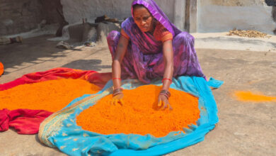 हर्बल गुलाल से और भी रंगीली होगी होली: विभिन्न रंगों और आकर्षक पैकेजिंग के साथ समूह द्वारा निर्मित हर्बल गुलाल…. हर्बल गुलाल से और भी रंगीली होगी होली: विभिन्न रंगों और आकर्षक पैकेजिंग के साथ समूह द्वारा निर्मित हर्बल गुलाल….