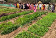 बस्तर के नवाचार देख उत्साहित हुईं बिलासपुर की दीदियाँ, एक्सपोजर विजिट में सीखीं इंटीग्रेटेड फार्मिंग की बारीकियां….