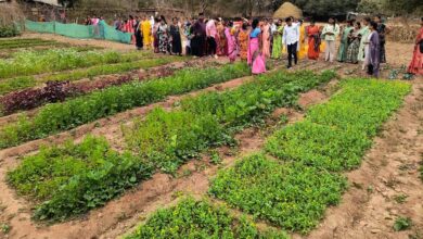 बस्तर के नवाचार देख उत्साहित हुईं बिलासपुर की दीदियाँ, एक्सपोजर विजिट में सीखीं इंटीग्रेटेड फार्मिंग की बारीकियां…. बस्तर के नवाचार देख उत्साहित हुईं बिलासपुर की दीदियाँ, एक्सपोजर विजिट में सीखीं इंटीग्रेटेड फार्मिंग की बारीकियां….