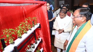 वन आधारित अर्थव्यवस्था को मजबूत करने पर दें जोर: वन मंत्री कश्यप….