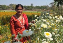 बिहान योजना से खिला रत्ना का भविष्य- फूलों की खेती से बनीं सफल उद्यमी….
