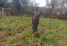 महतारी वंदन योजना से बदली जिंदगी की तस्वीर : श्रीमती सुखी पुनेम बनीं आत्मनिर्भरता और पोषण की मिसाल….