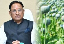 अफीम की अवैध खेती पर मुख्यमंत्री विष्णु देव साय का कड़ा रुख, सभी कलेक्टरों को सर्वे कर 15 दिवस में प्रमाण पत्र सहित रिपोर्ट देने के निर्देश….