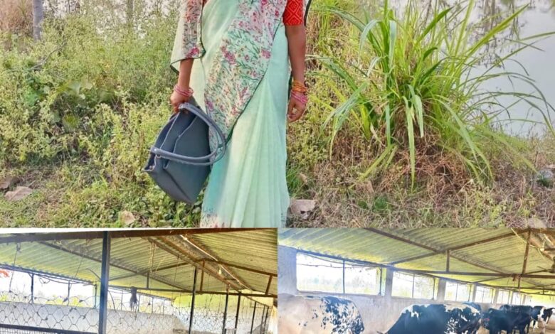 मछली पालन से बदली लक्ष्मी की जिंदगी, सढ़ौली की लक्ष्मी ठाकुर बनी आर्थिक सशक्तिकरण की मिसाल….