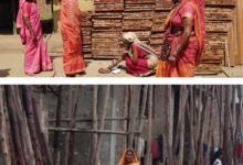 सेंट्रिंग प्लेट के व्यवसाय से बढ़ा महिलाओं में आत्मविश्वास और आय: ‘बिहान’ से सशक्त हो रहीं धमतरी जिले की ग्रामीण महिलाएं….