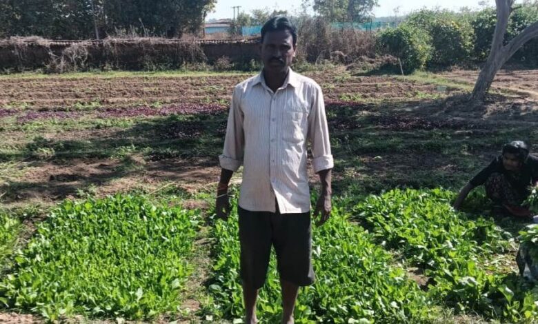 डबरी बनी स्थायी आजीविका का आधार : जल संरक्षण के साथ बढ़ी आय…. डबरी बनी स्थायी आजीविका का आधार : जल संरक्षण के साथ बढ़ी आय….