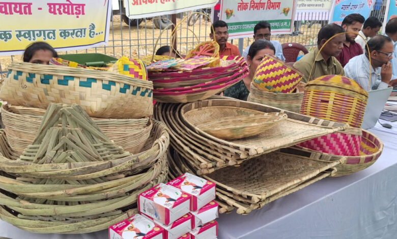 आत्मनिर्भरता की मिसाल बनीं ग्रामीण महिलाएं, गृह उद्योग और हस्तशिल्प से संवर रहा भविष्य…..