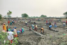 सर्वाधिक परिवारो को रोजगार, सर्वाधिक मानव दिवस का रोजगार सहित सर्वाधिक दिव्यांगजनों को रोजगार देने के मामले में कबीरधाम प्रदेश में प्रथम स्थान पर….