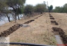 ‘मोर गांव मोर पानी महाभियान’ से जन-जन जुड़ा, दुर्ग बना जल संरक्षण का मॉडल….