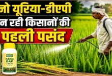 नैनो यूरिया और नैनो डीएपी से कम लागत में ज्यादा उत्पादन, नैनो उर्वरकों का संतुलित उपयोग मिट्टी में पोषक तत्वों को बनाए रखने में करता है मदद – किसान भूषण साहू….. नैनो यूरिया और नैनो डीएपी से कम लागत में ज्यादा उत्पादन, नैनो उर्वरकों का संतुलित उपयोग मिट्टी में पोषक तत्वों को बनाए रखने में करता है मदद – किसान भूषण साहू…..