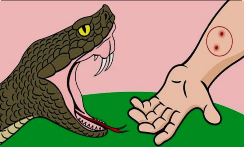 वर्षा ऋतु में सर्पदंश से सतर्क रहें: स्वास्थ्य विभाग बेमेतरा की अपील  