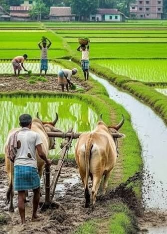 प्रदेश में मानसून के दस्तक के साथ ही खेती-किसानी में तेजी, राज्य में 6.25 लाख हेक्टेयर क्षेत्र में लक्ष्य का 13 प्रतिशत बोनी पूर्ण… प्रदेश में मानसून के दस्तक के साथ ही खेती-किसानी में तेजी, राज्य में 6.25 लाख हेक्टेयर क्षेत्र में लक्ष्य का 13 प्रतिशत बोनी पूर्ण…
